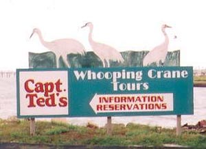 Captain Ted's Whooping Crane Tour