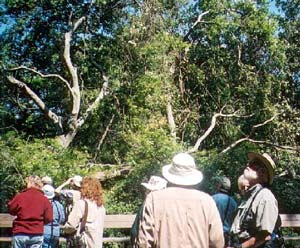 Birders in the cathedral