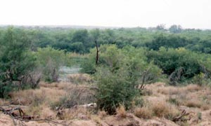 Chapeño, looking across the Rio Grande towards Mexico