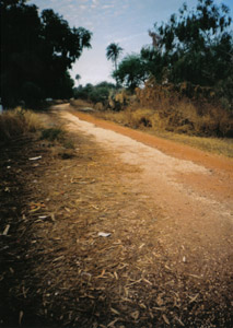 Casino Cycle Track