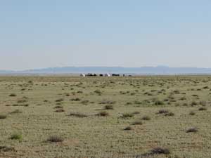 The camp in the Takum desert
