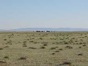 The camp in the Takum desert