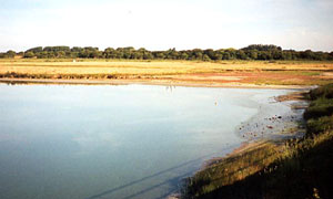 The Ferry Pond