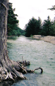 River Frio