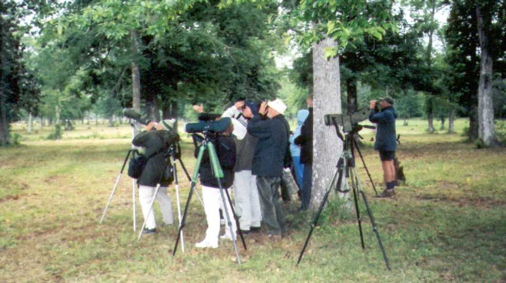 Some of the group at White Memorial Park