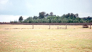 Flat grassland at the Ideal Beach Resort