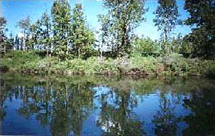 The lake at Inglewood Sanctuary