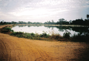 One of Kotu Pools