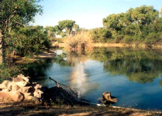 Lake Gambusi