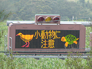 Okinawa Road Sign