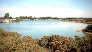Pagham Lagoon