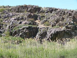 Rocky habitat