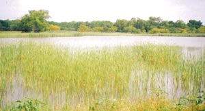 Lake at Santa Ana