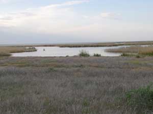 Steppe Lake