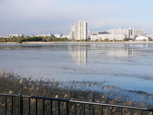 Yatsu Higata Park